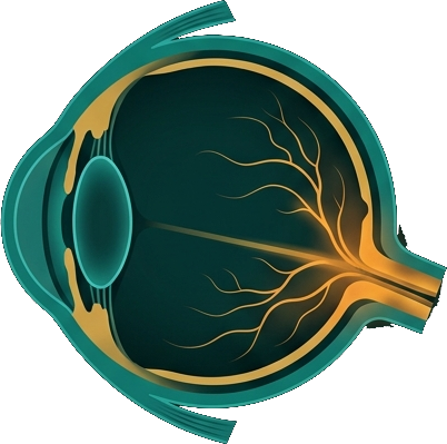 Nerve Damage